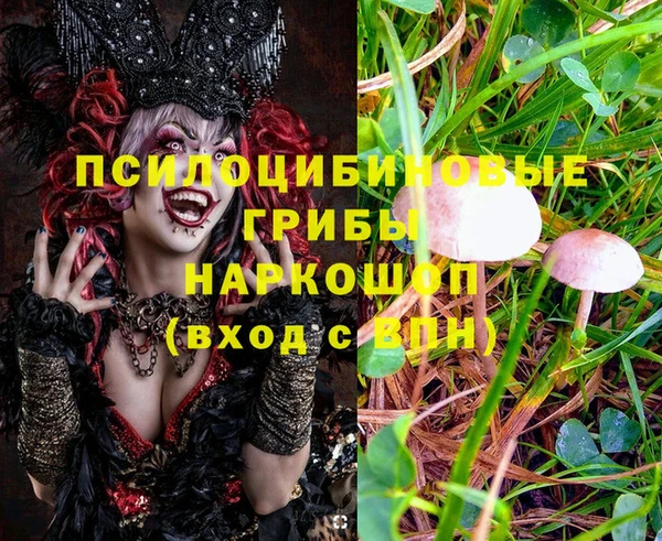 MDMA Михайлов