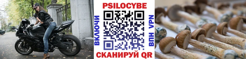 Купить где  Невьянск  Галлюциногенные грибы MAGIC MUSHROOMS 